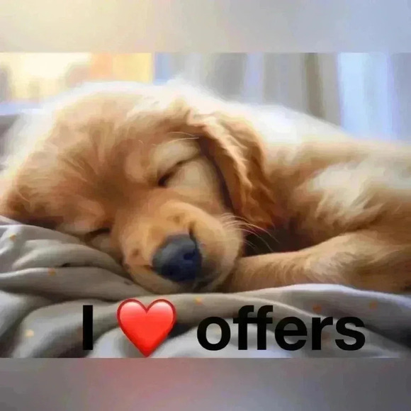 ✅Men’s Red Head Brand Company short sleeve shirt - Picture 10 of 15